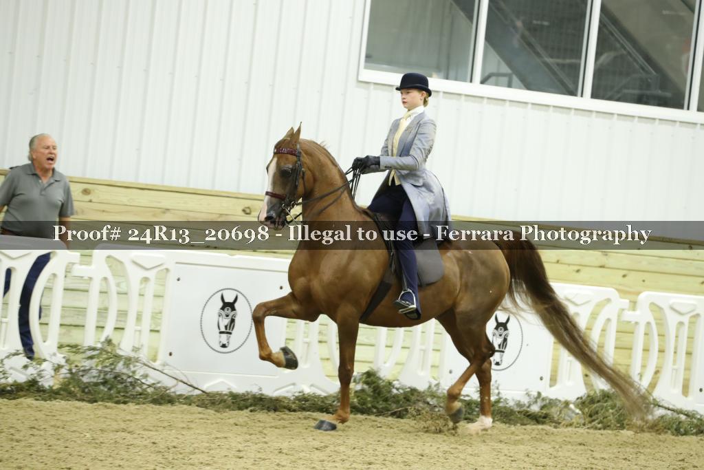 Proof 24R13_20698