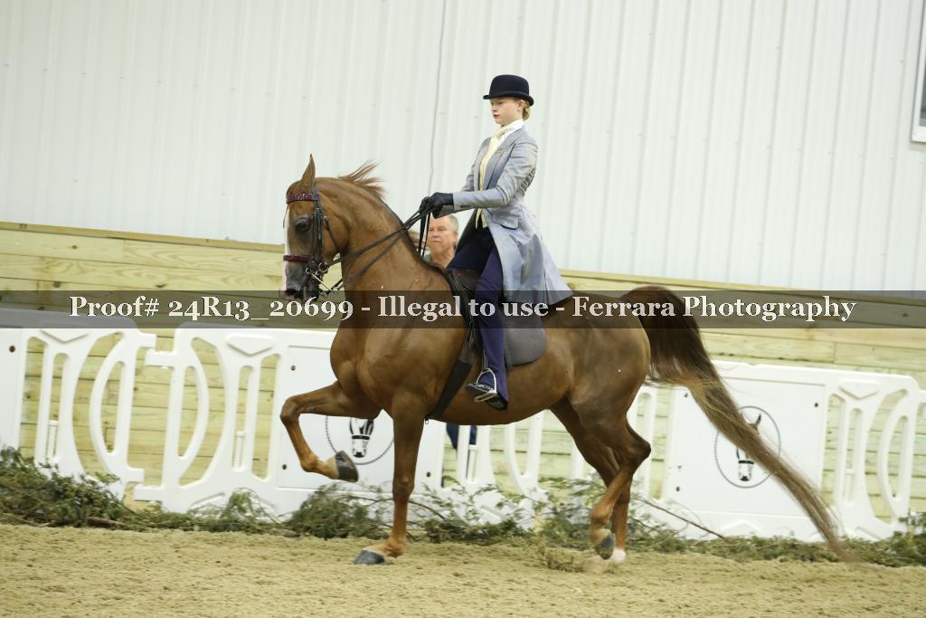 Proof 24R13_20699