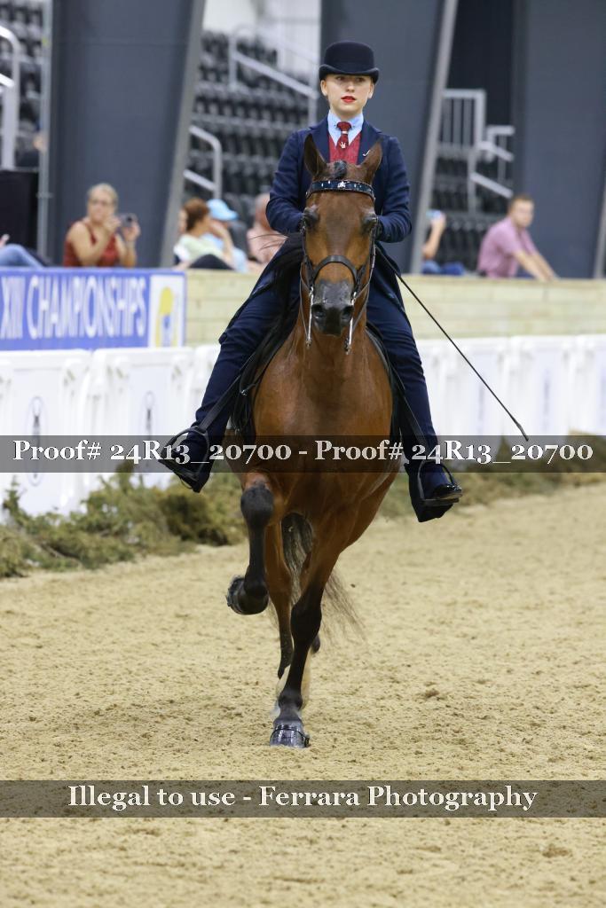 Proof 24R13_20700