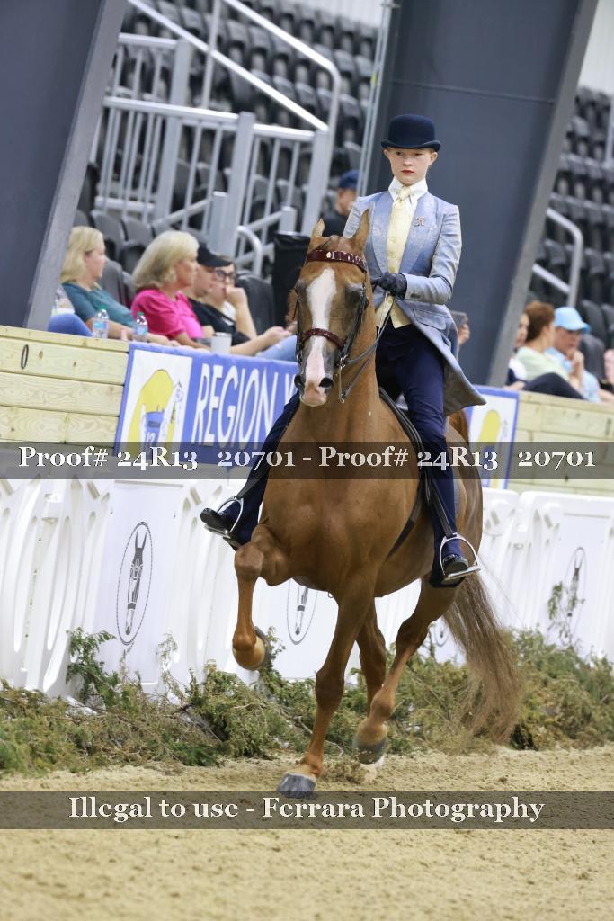 Proof 24R13_20701
