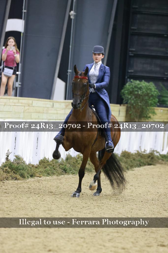 Proof 24R13_20702