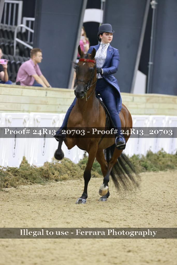 Proof 24R13_20703