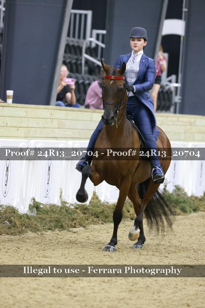 Proof 24R13_20704
