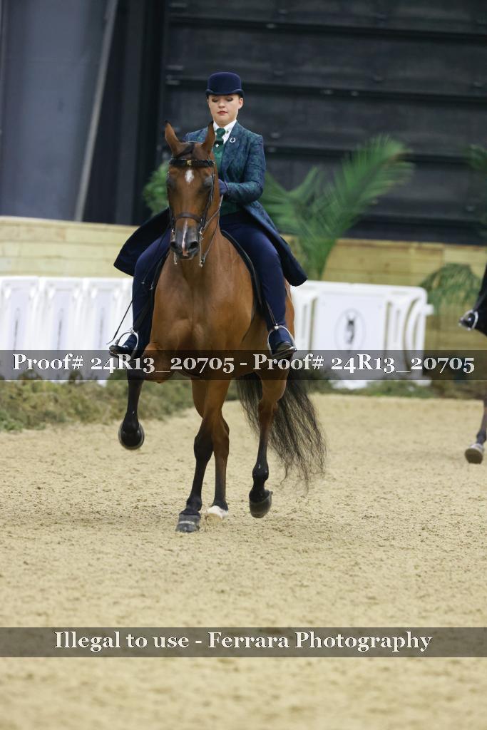 Proof 24R13_20705