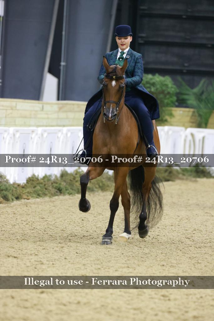 Proof 24R13_20706