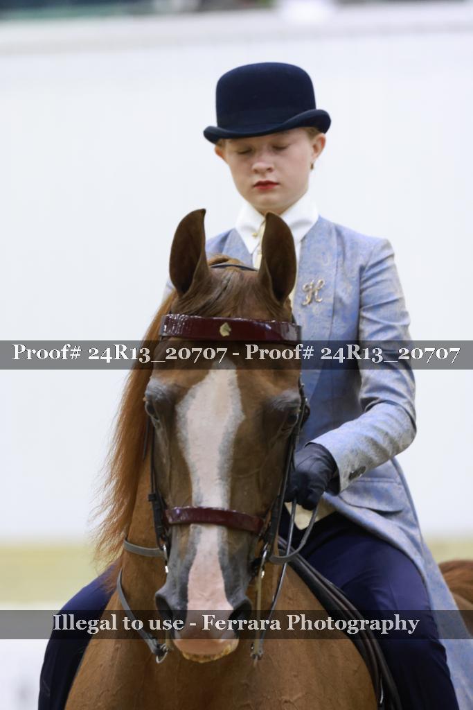 Proof 24R13_20707