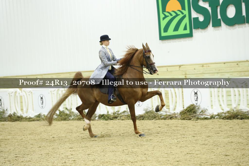 Proof 24R13_20708