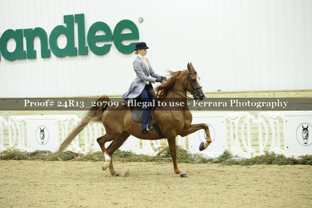 Proof 24R13_20709