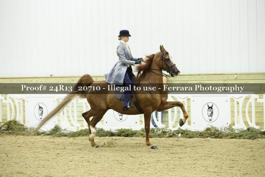 Proof 24R13_20710