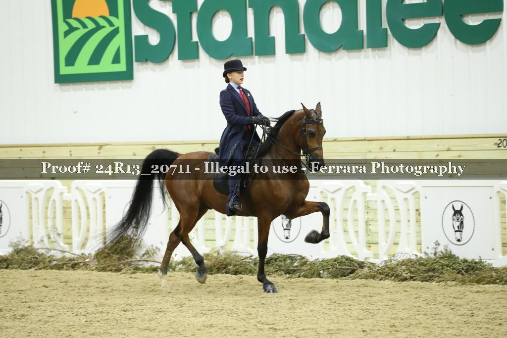 Proof 24R13_20711