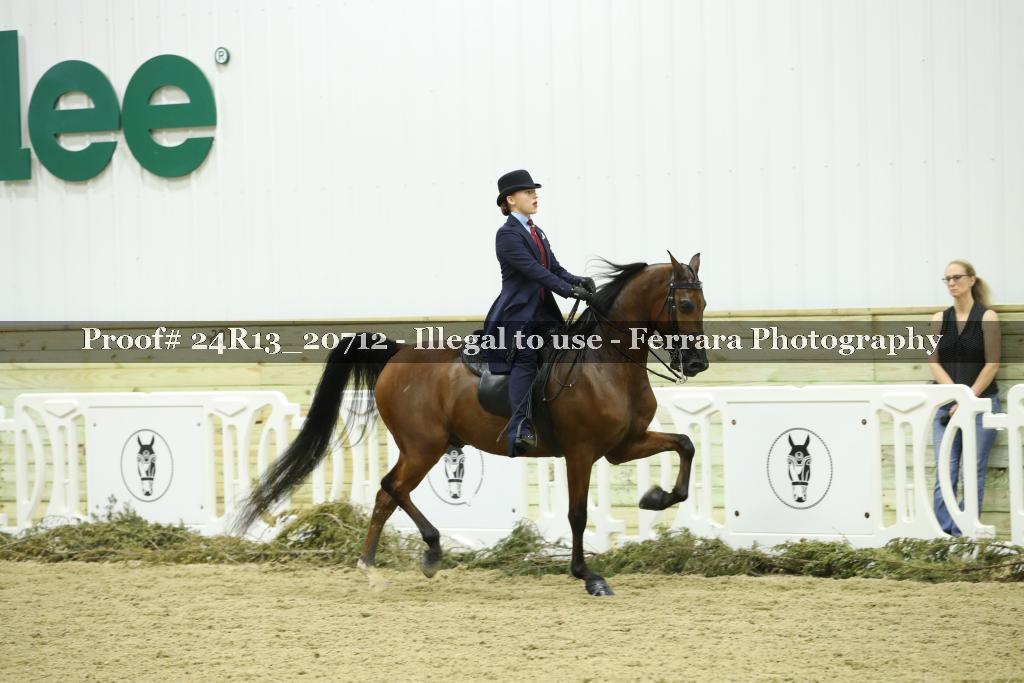 Proof 24R13_20712