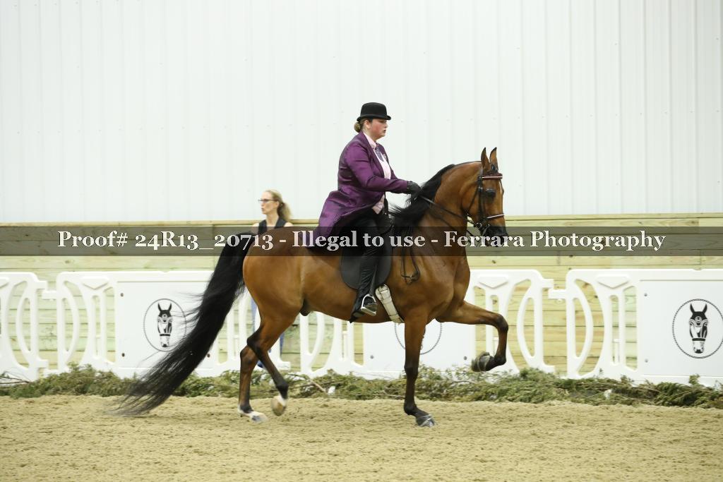 Proof 24R13_20713