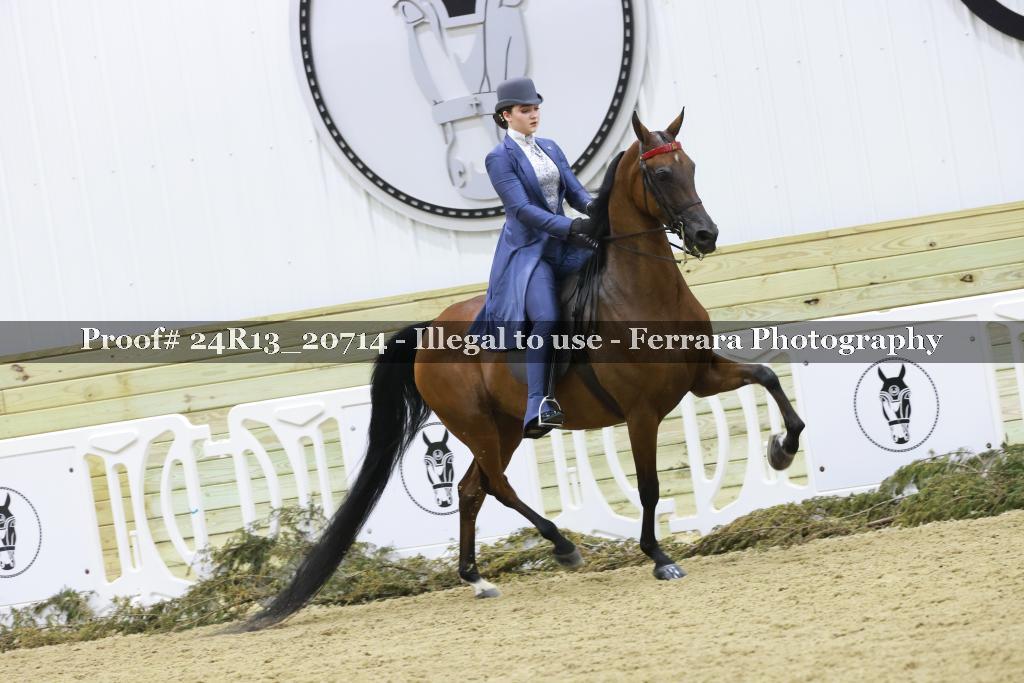 Proof 24R13_20714