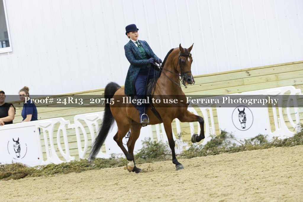 Proof 24R13_20715