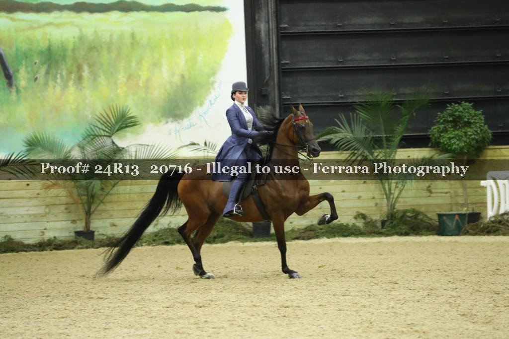 Proof 24R13_20716