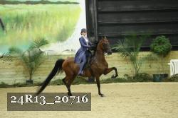 24R13_20716 proof