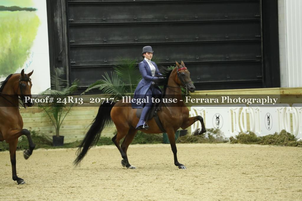 Proof 24R13_20717