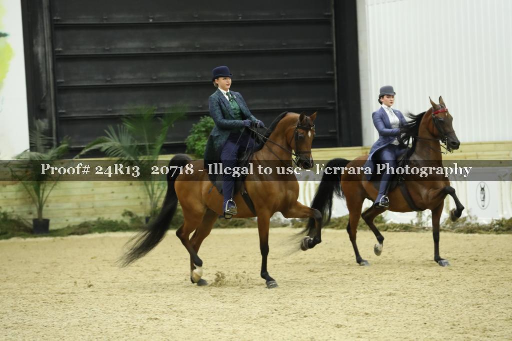 Proof 24R13_20718
