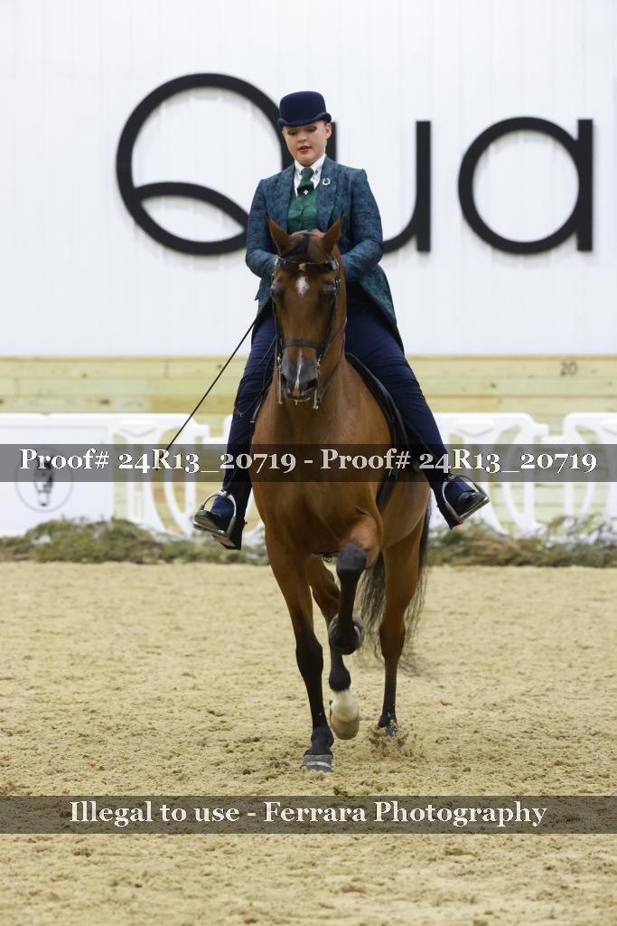 Proof 24R13_20719