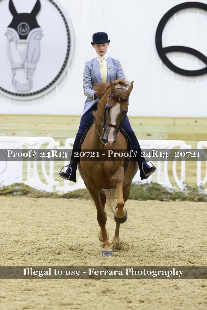 Proof 24R13_20721