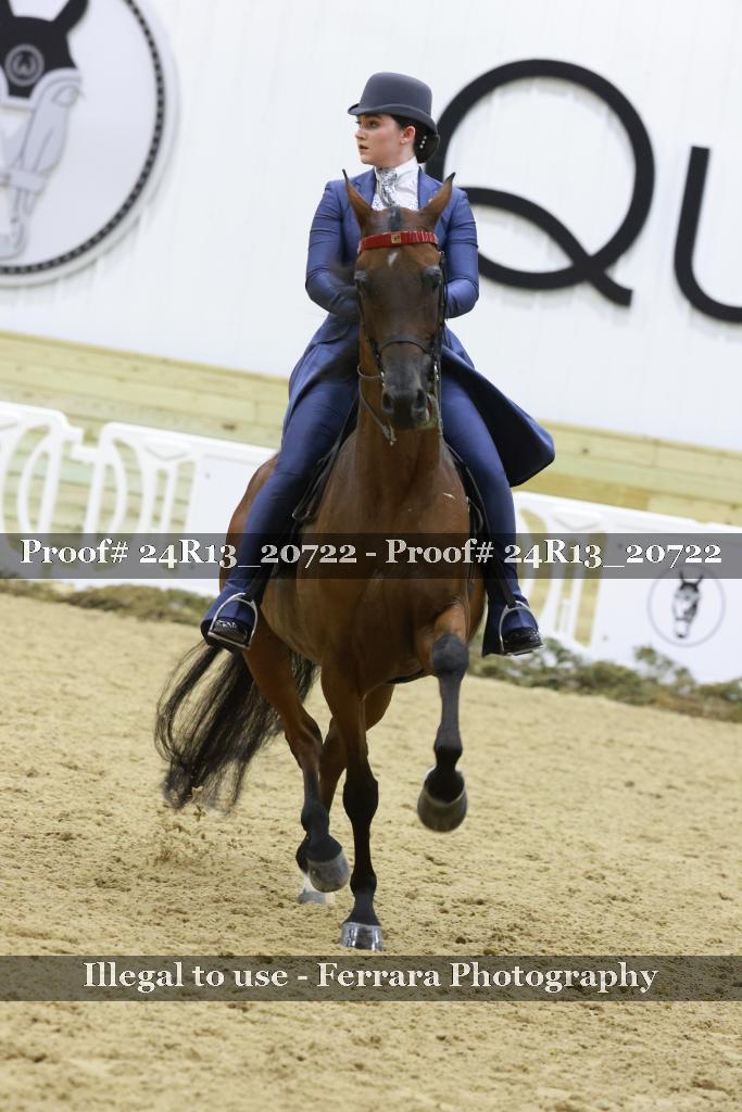 Proof 24R13_20722
