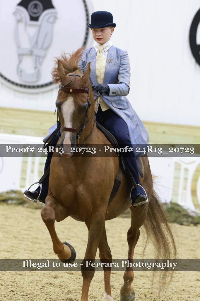 Proof 24R13_20723