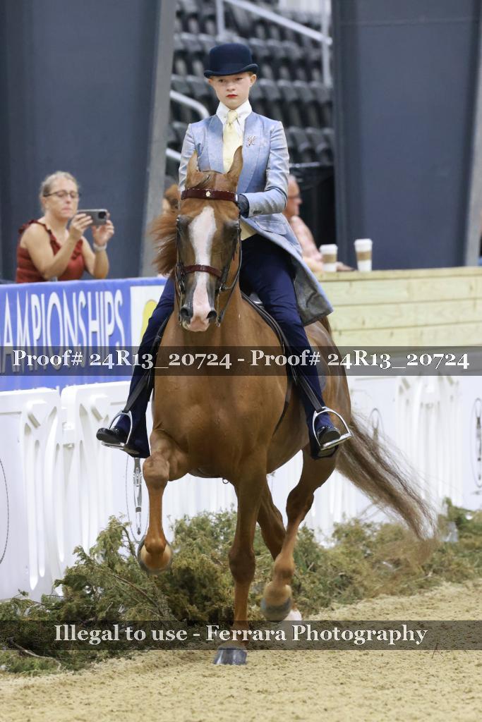 Proof 24R13_20724