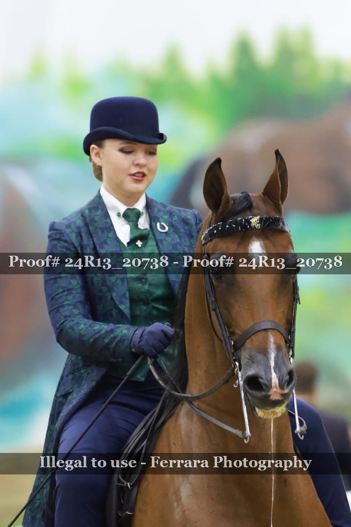 Proof 24R13_20738