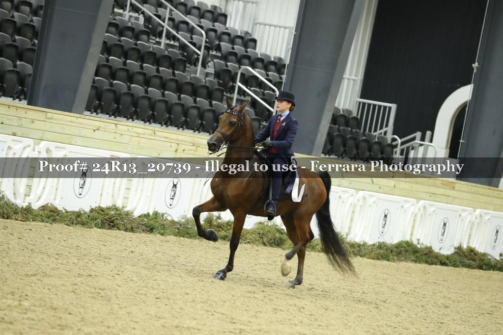 Proof 24R13_20739