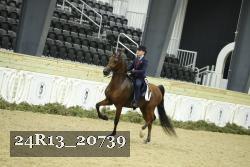 24R13_20739 proof