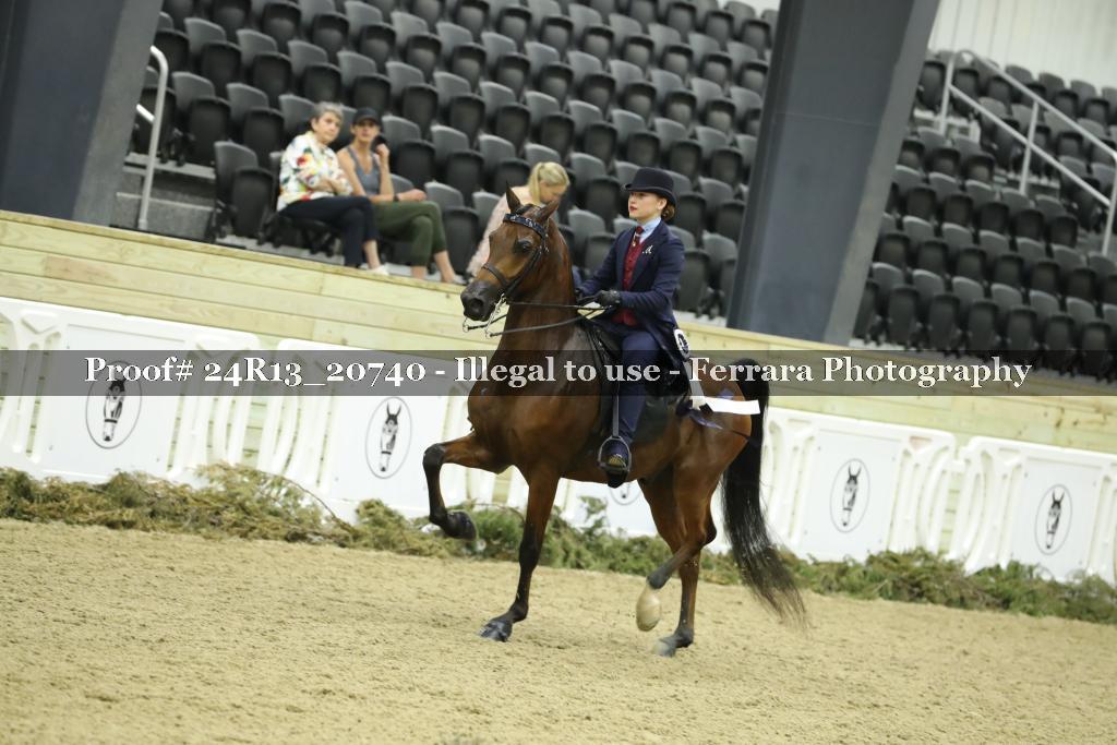 Proof 24R13_20740