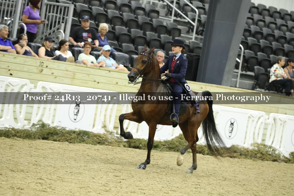 Proof 24R13_20741