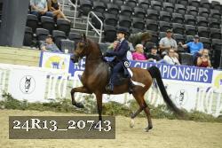 24R13_20743 proof
