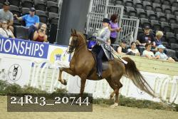 24R13_20744 proof
