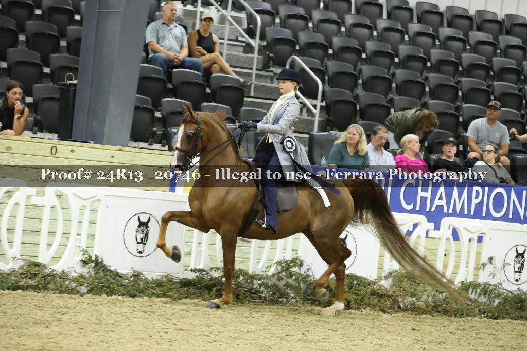 Proof 24R13_20746