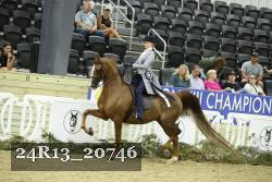 24R13_20746 proof