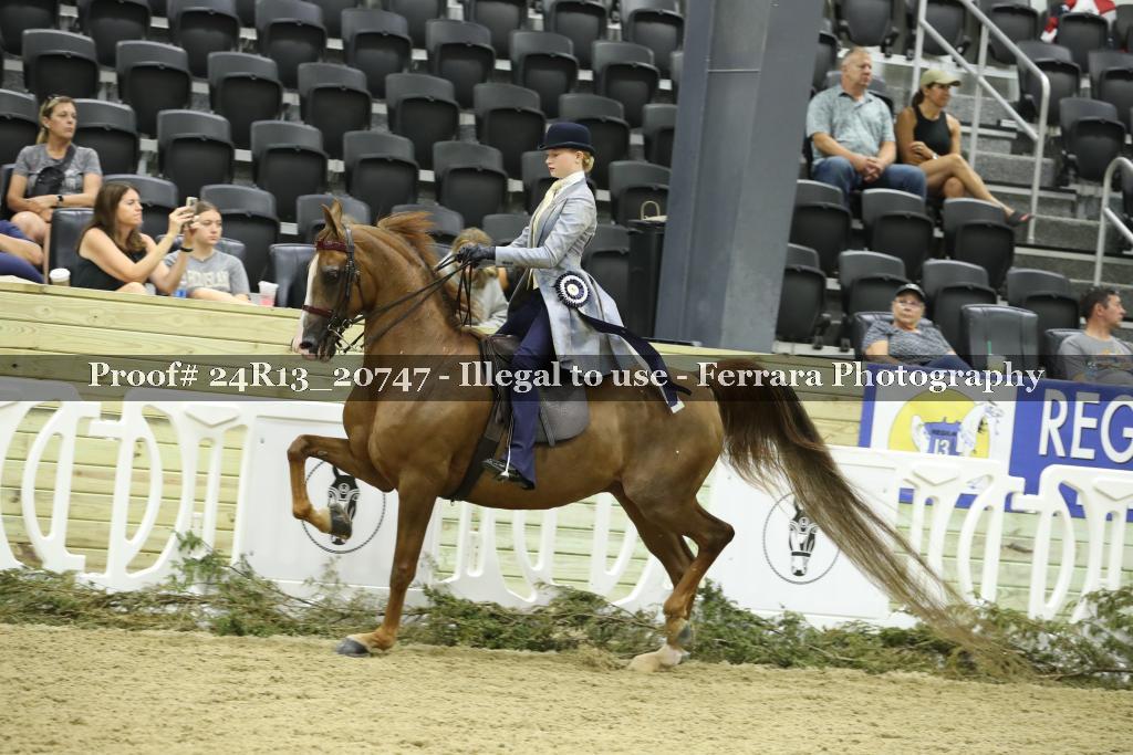 Proof 24R13_20747