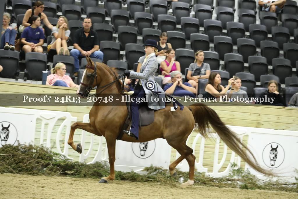 Proof 24R13_20748