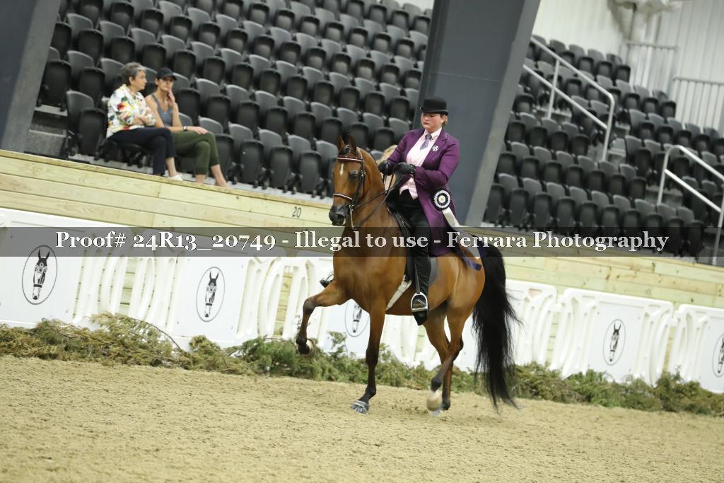 Proof 24R13_20749
