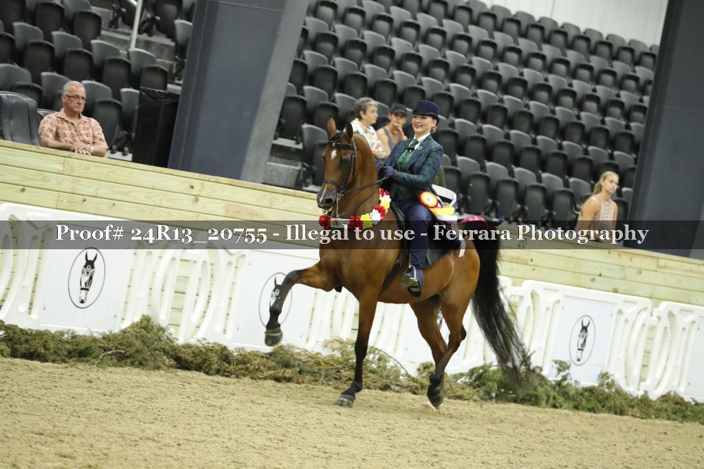 Proof 24R13_20755