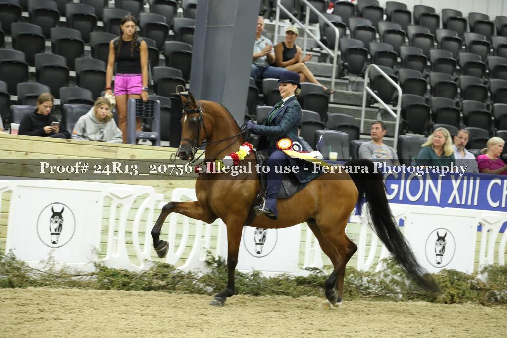 Proof 24R13_20756