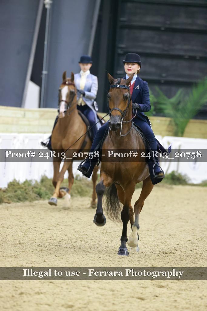 Proof 24R13_20758