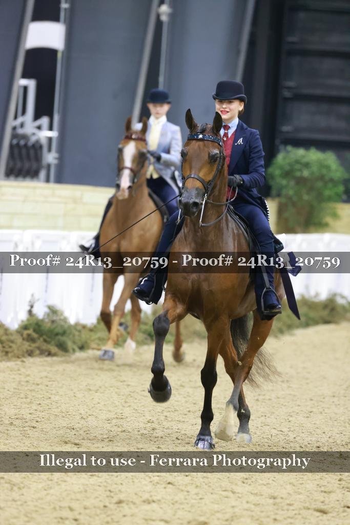 Proof 24R13_20759