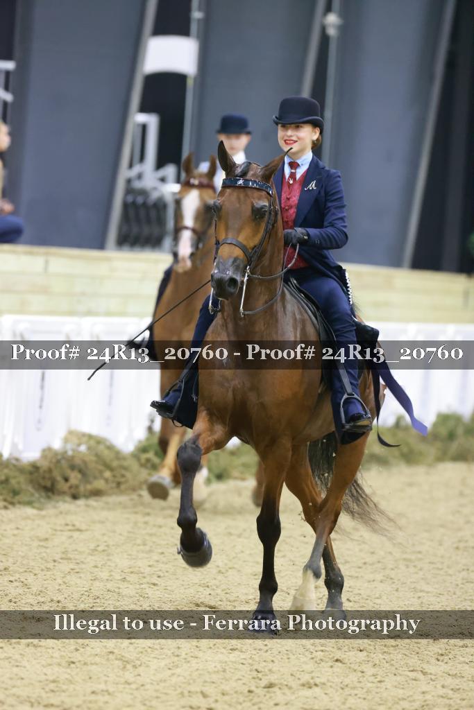 Proof 24R13_20760