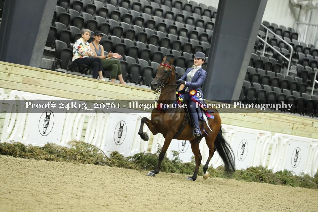 Proof 24R13_20761
