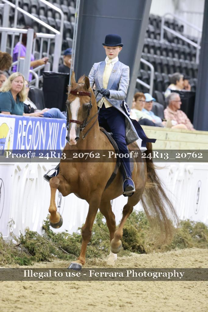 Proof 24R13_20762