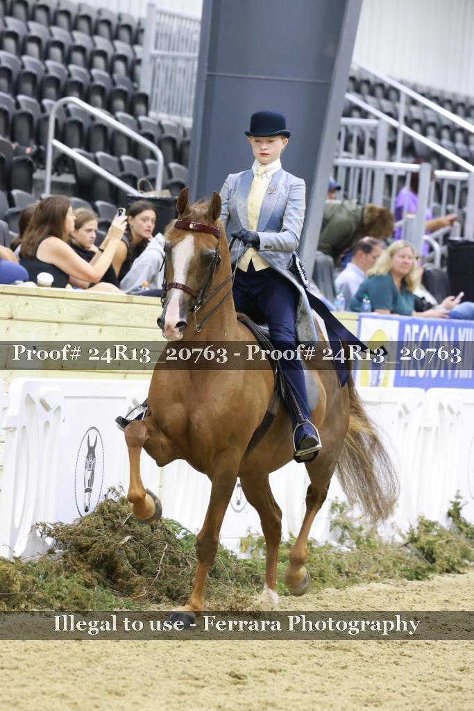 Proof 24R13_20763