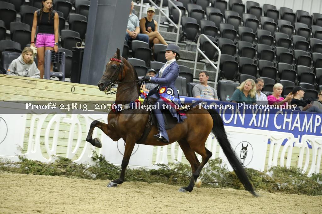 Proof 24R13_20765