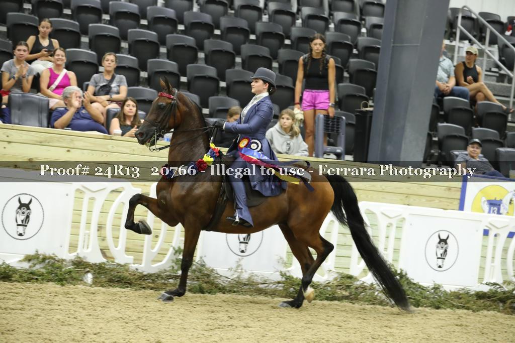 Proof 24R13_20766