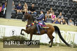 24R13_20767 proof